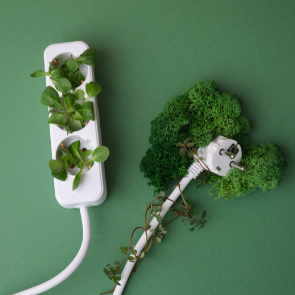 prises électriques sur fond vert avec verdure associée